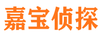 清流市私家侦探